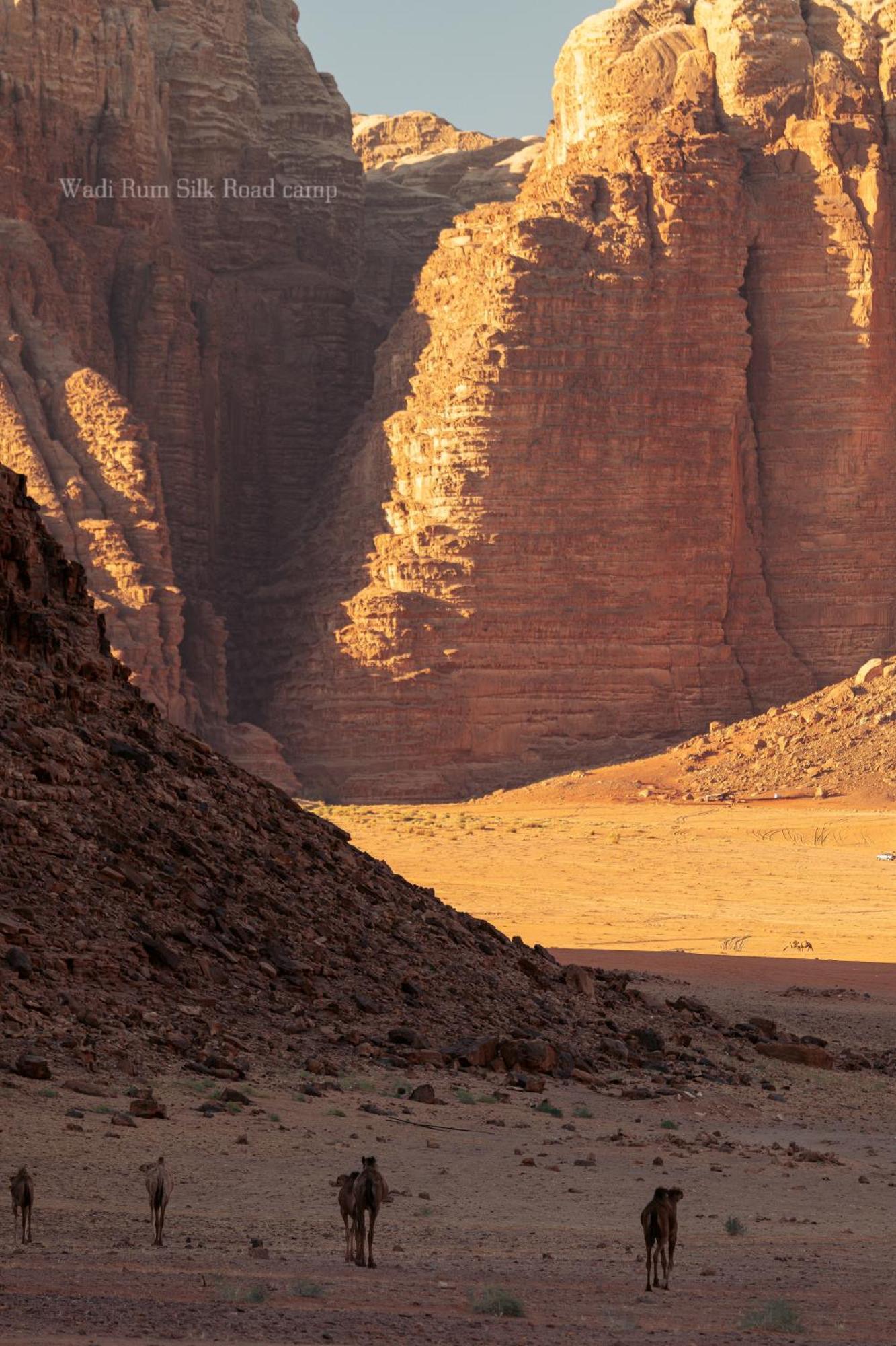 Wadi Rum Silk Road Camp Dış mekan fotoğraf