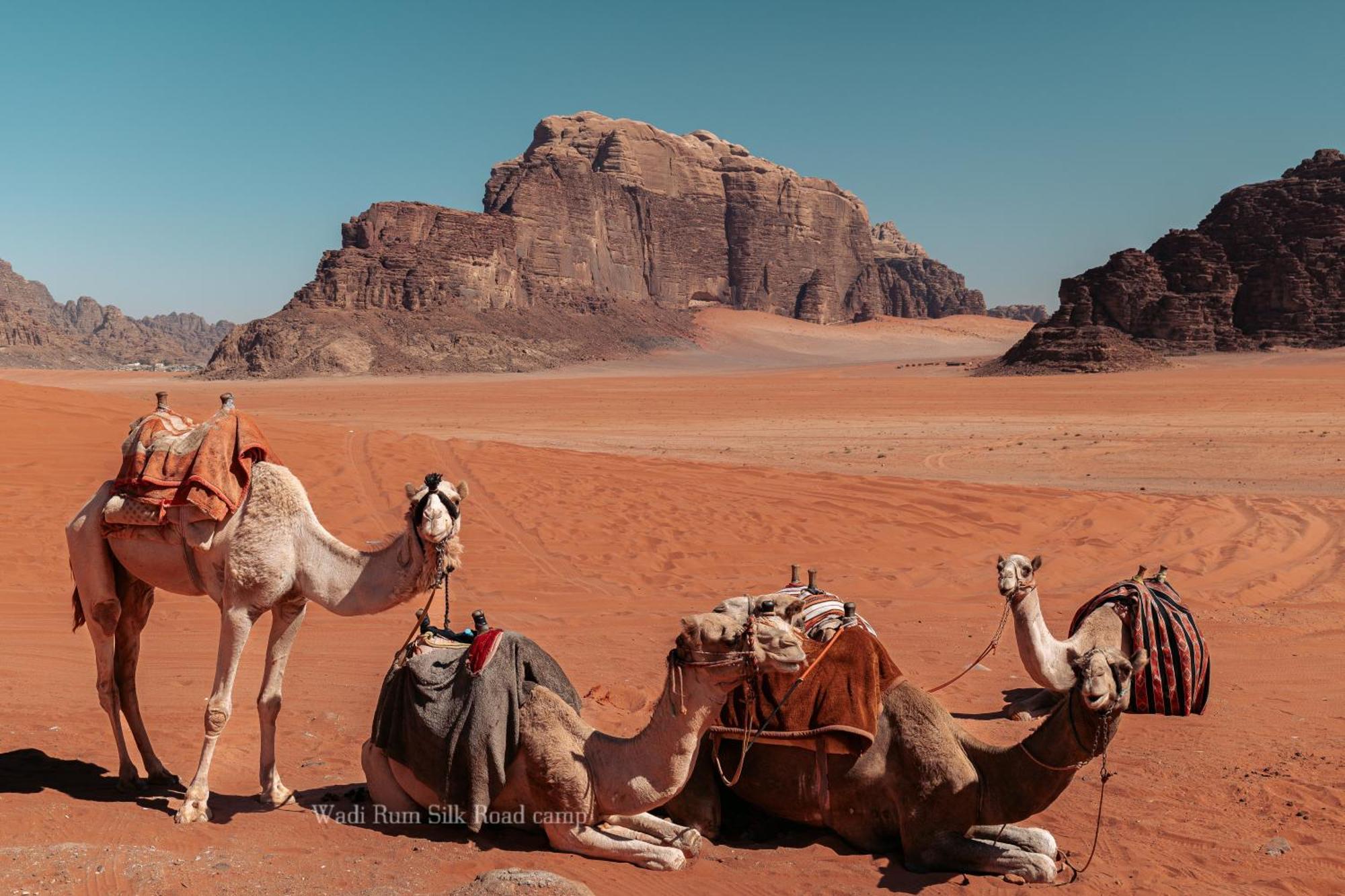 Wadi Rum Silk Road Camp Dış mekan fotoğraf