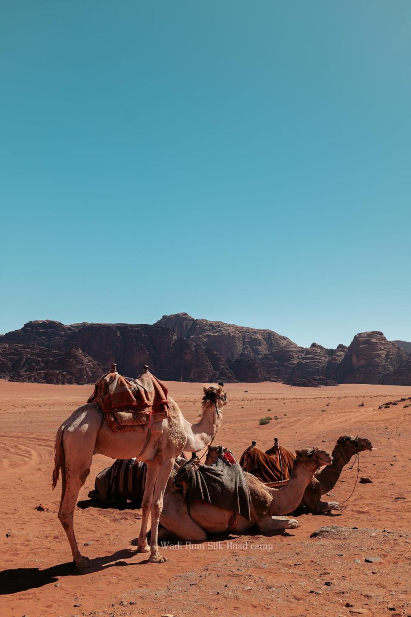 Wadi Rum Silk Road Camp Dış mekan fotoğraf